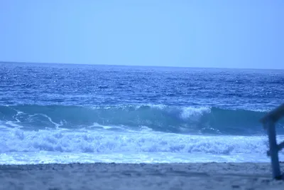 DSC_4992 (Large).JPG